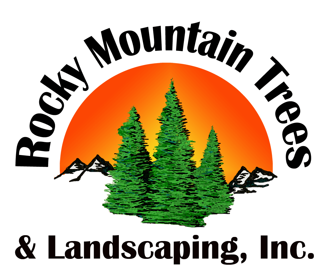 Rocky Mountain Trees