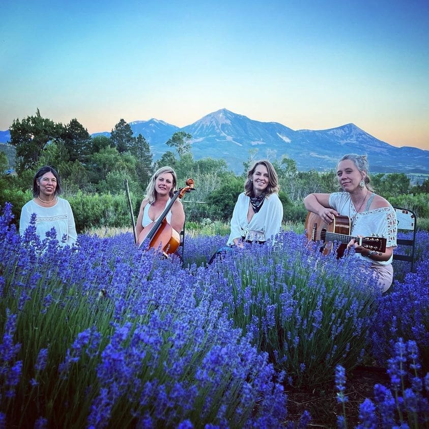 Mama Lingua Band in Lavender Field