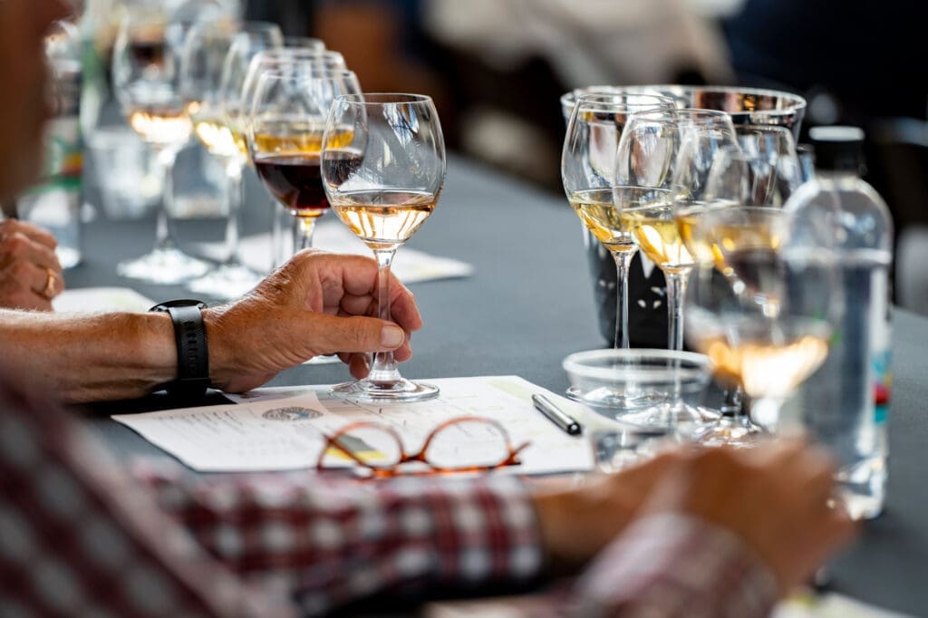 Wine glasses lined up on a table