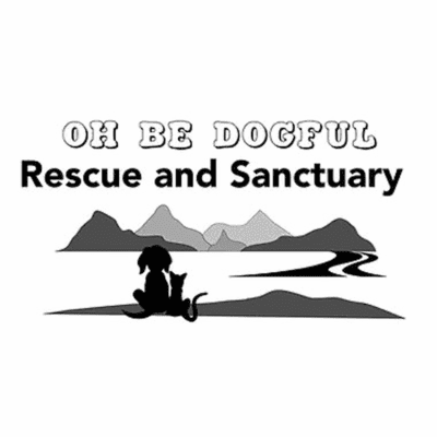 Oh Be Dogful Square Oh Be Dogful Rescue Fundraiser