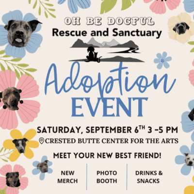 Screenshot 2025-09-02 at 9.19.41 AM Oh Be Dogful Adoption Event